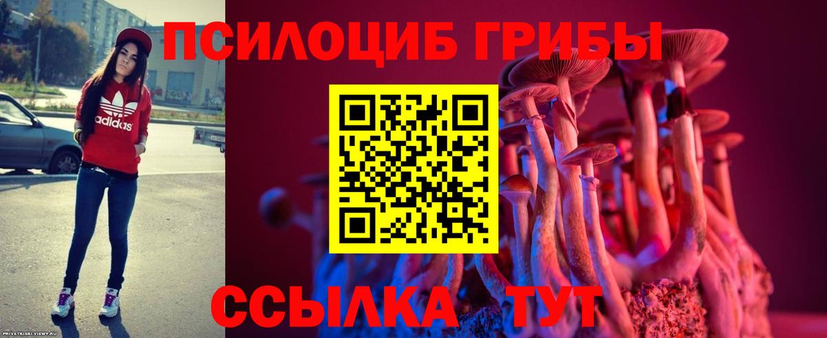Псилоцибиновые грибы мицелий  дарнет шоп  Егорьевск  Вход с VPN 